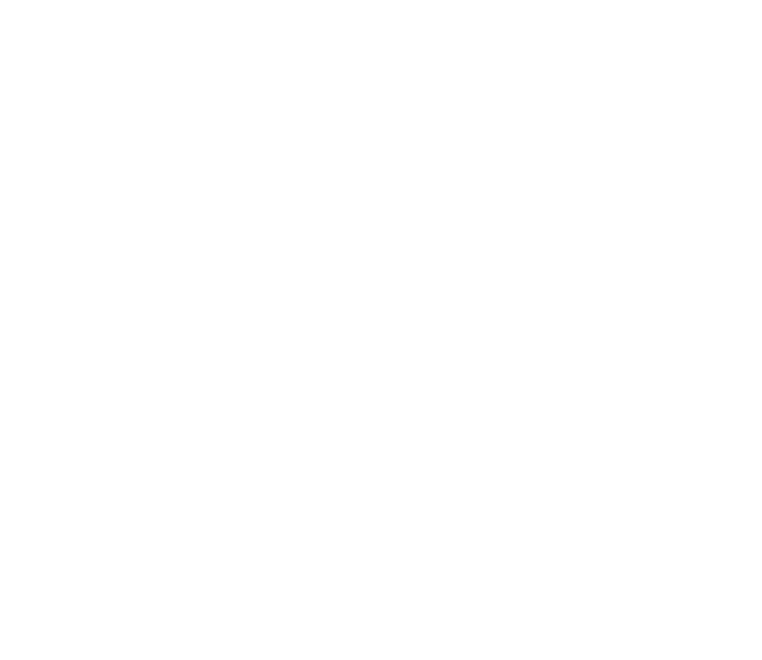 Salvar - Rede Protetora dos Animais de Alto Paraíso de Goiás